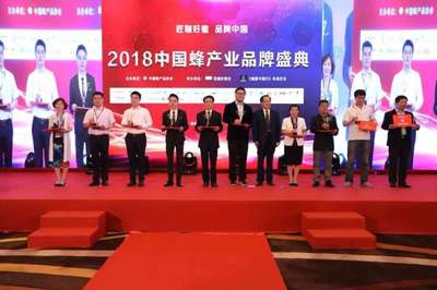 热烈祝贺神蜂科技成为中国蜂胶行业领军品牌